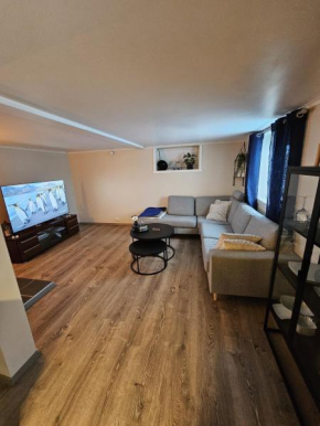 Cozy apartment with two bedrooms